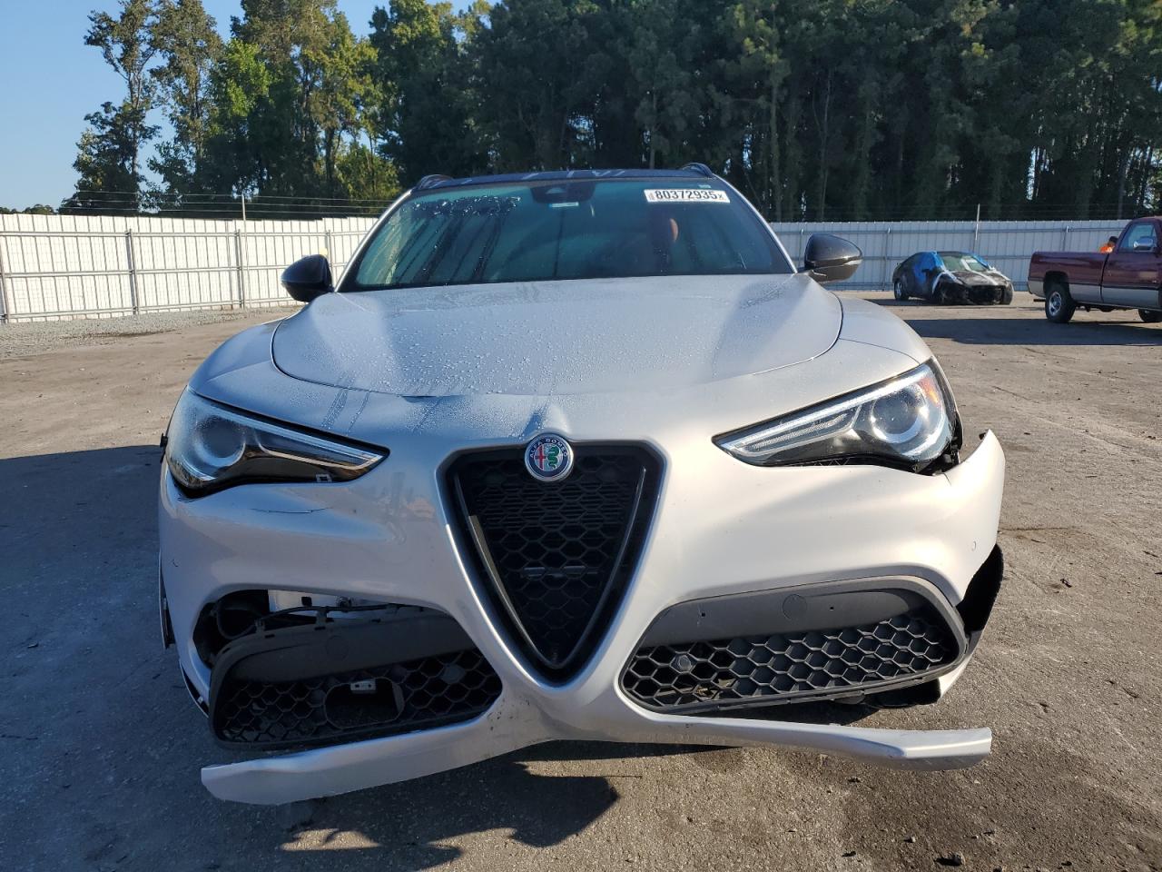 ZASPAJAN8L7C91166 · 2020 ALFA ROMEO STELVIO · 5/13