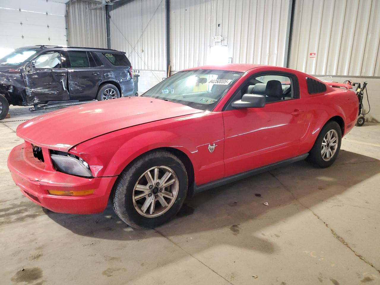 1ZVHT80N995121689 · 2009 FORD MUSTANG