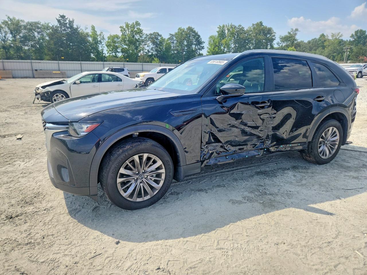 JM3KKAHD8R1186210 · 2024 MAZDA CX-90