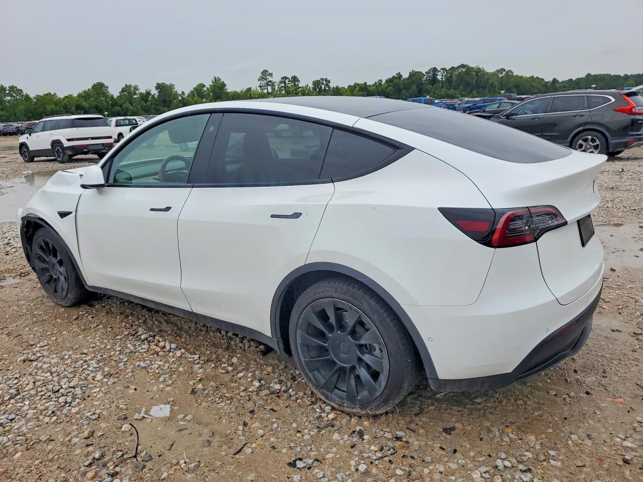7SAYGDEEXNF387355 · 2022 TESLA MODEL Y · 2/13