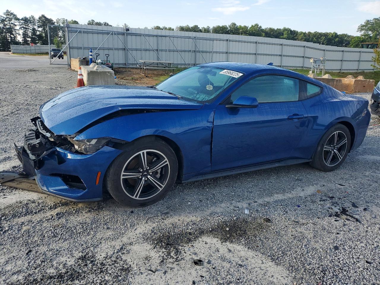 1FA6P8TH5R5138418 · 2024 FORD MUSTANG