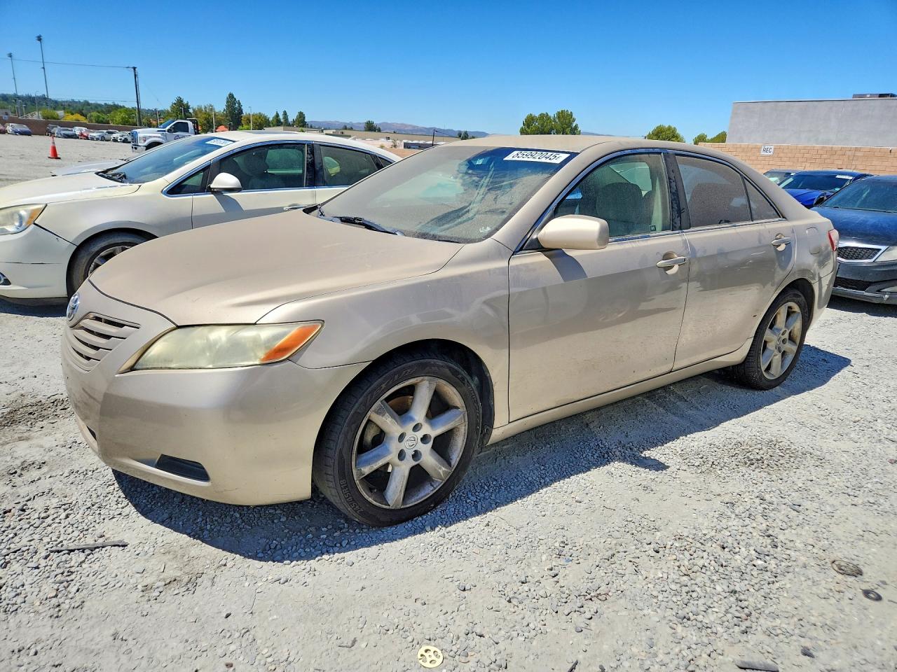 4T4BE46K79R120847 · 2009 TOYOTA CAMRY