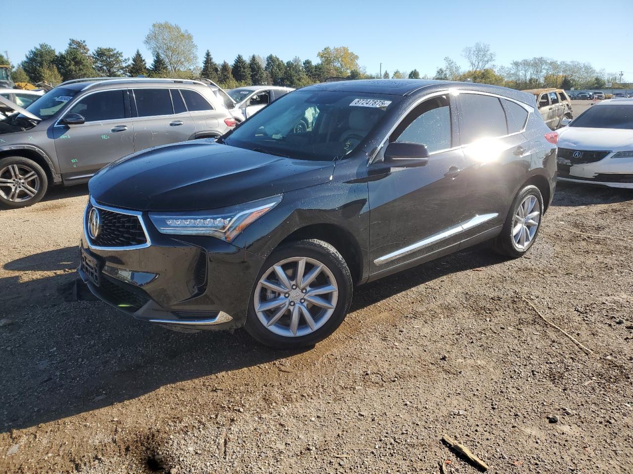 5J8TC2H36RL006137 · 2024 ACURA RDX