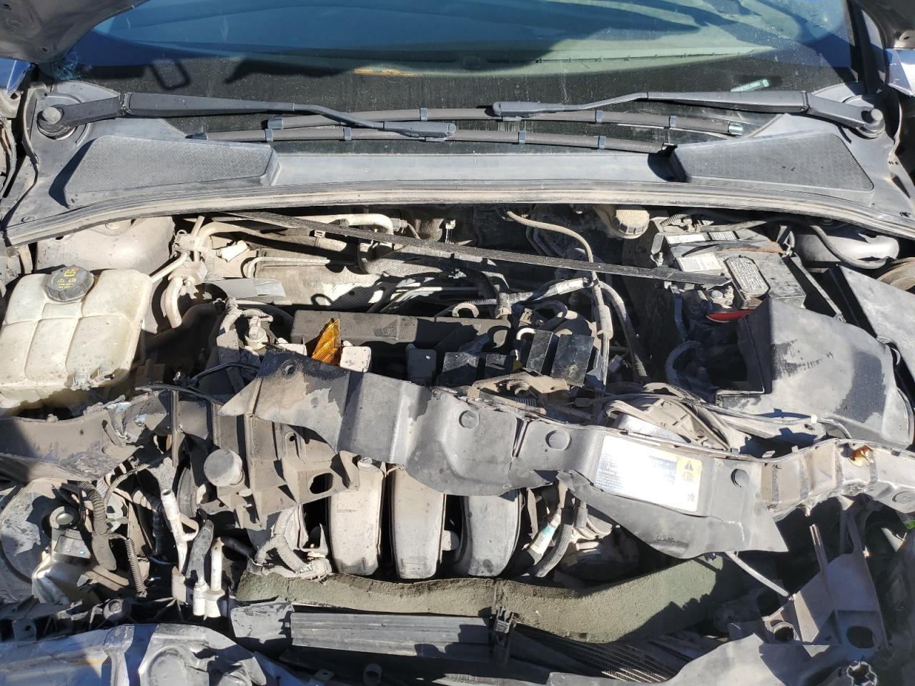 1FADP3K25EL199801 · 2014 FORD FOCUS · 11/12