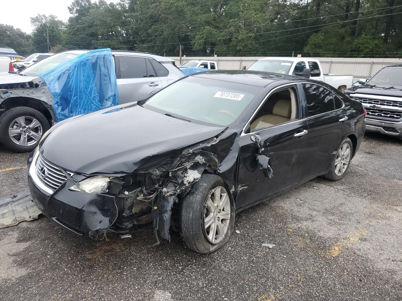 JTHBJ46G692337452 · 2009 LEXUS ES
