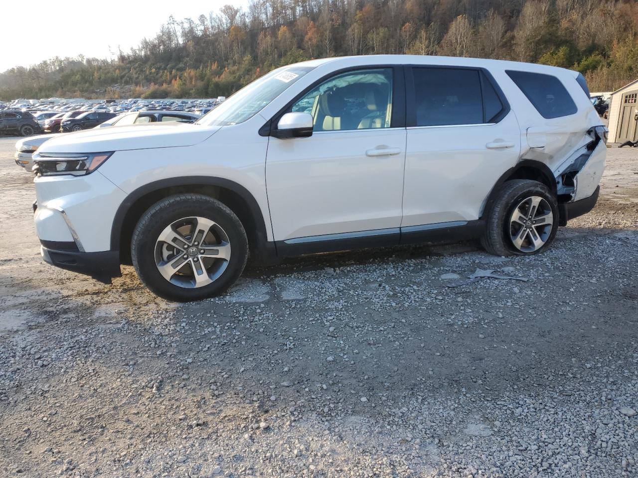 5FNYG1H43SB077414 · 2025 HONDA PILOT