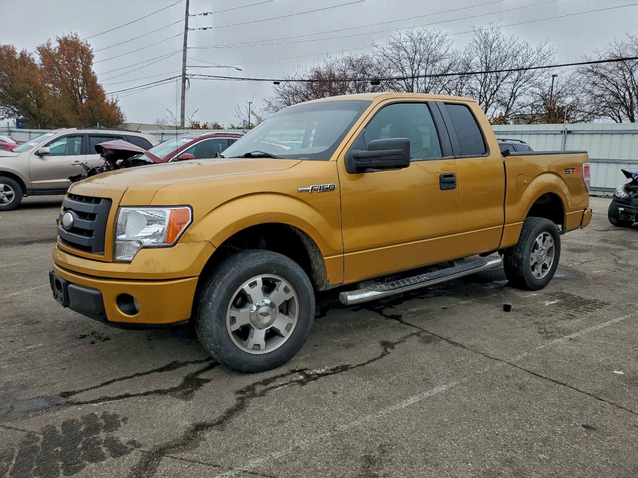 1FTRX12W39FA11059 · 2009 FORD F150