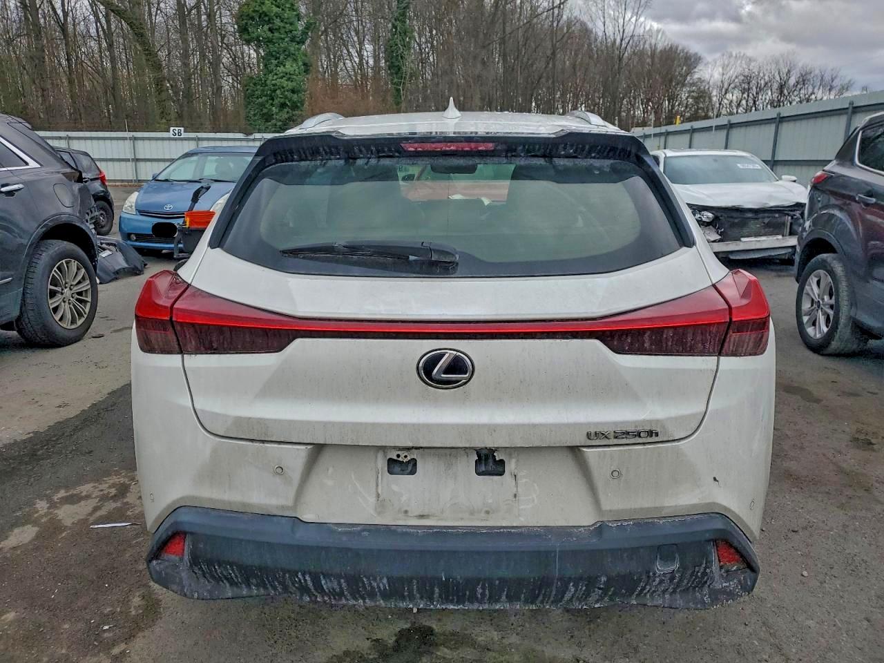JTHU9JBH8K2017912 · 2019 LEXUS UX · 6/12