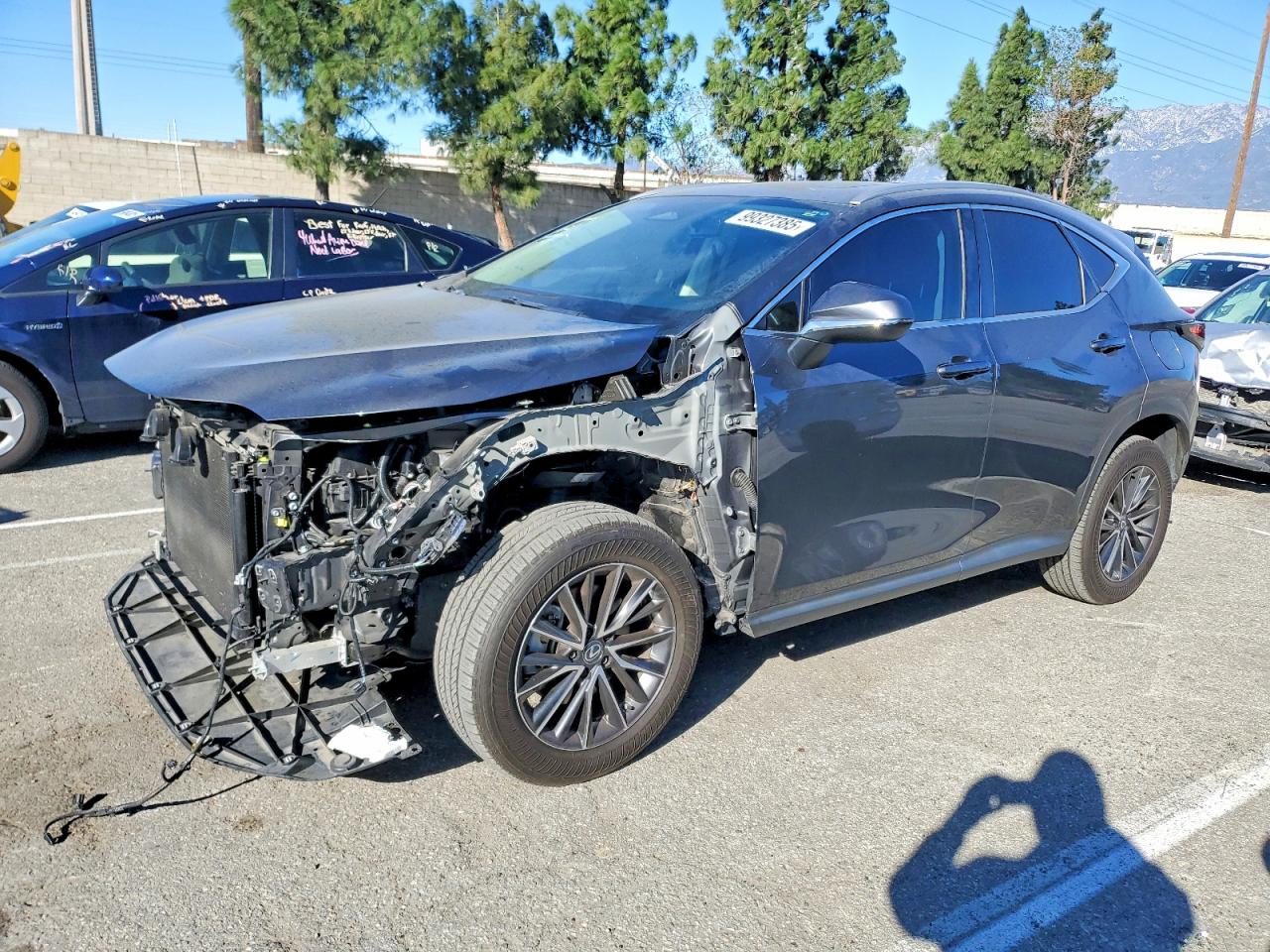 2T2AGCEZ4RC050522 · 2024 LEXUS NX