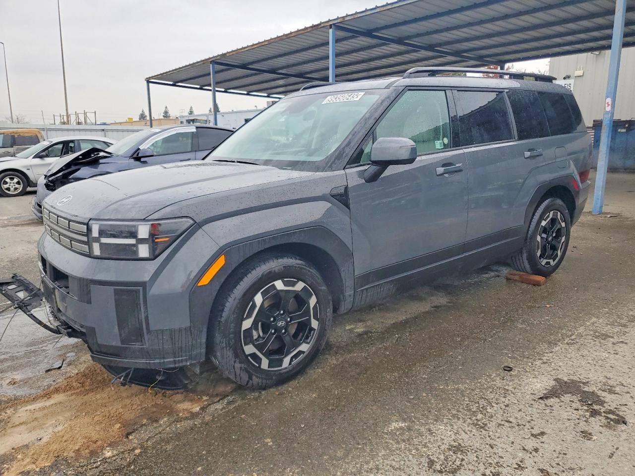 5NMP2DGL0SH142819 · 2025 HYUNDAI SANTA FE