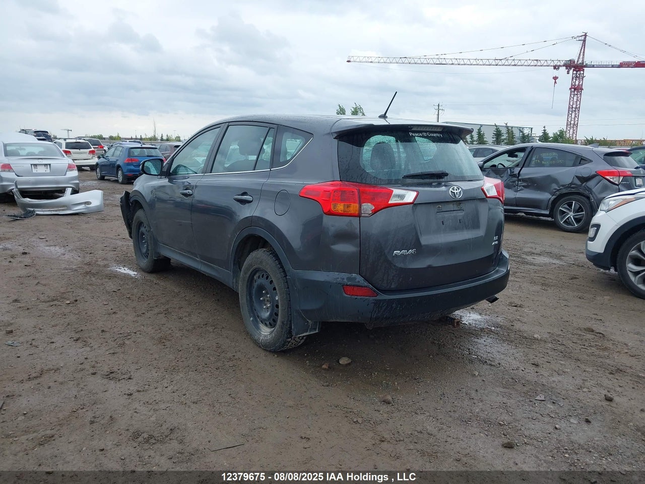 2T3BFREV1FW352461 · 2015 TOYOTA RAV4 LE · 3/16