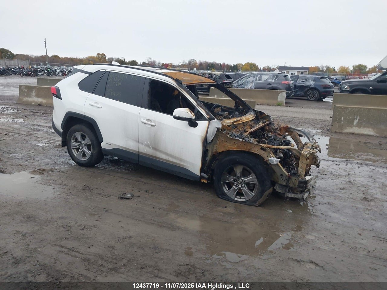 2T3BWRFV8RW214774 · 2024 TOYOTA RAV4 HYBRID LE