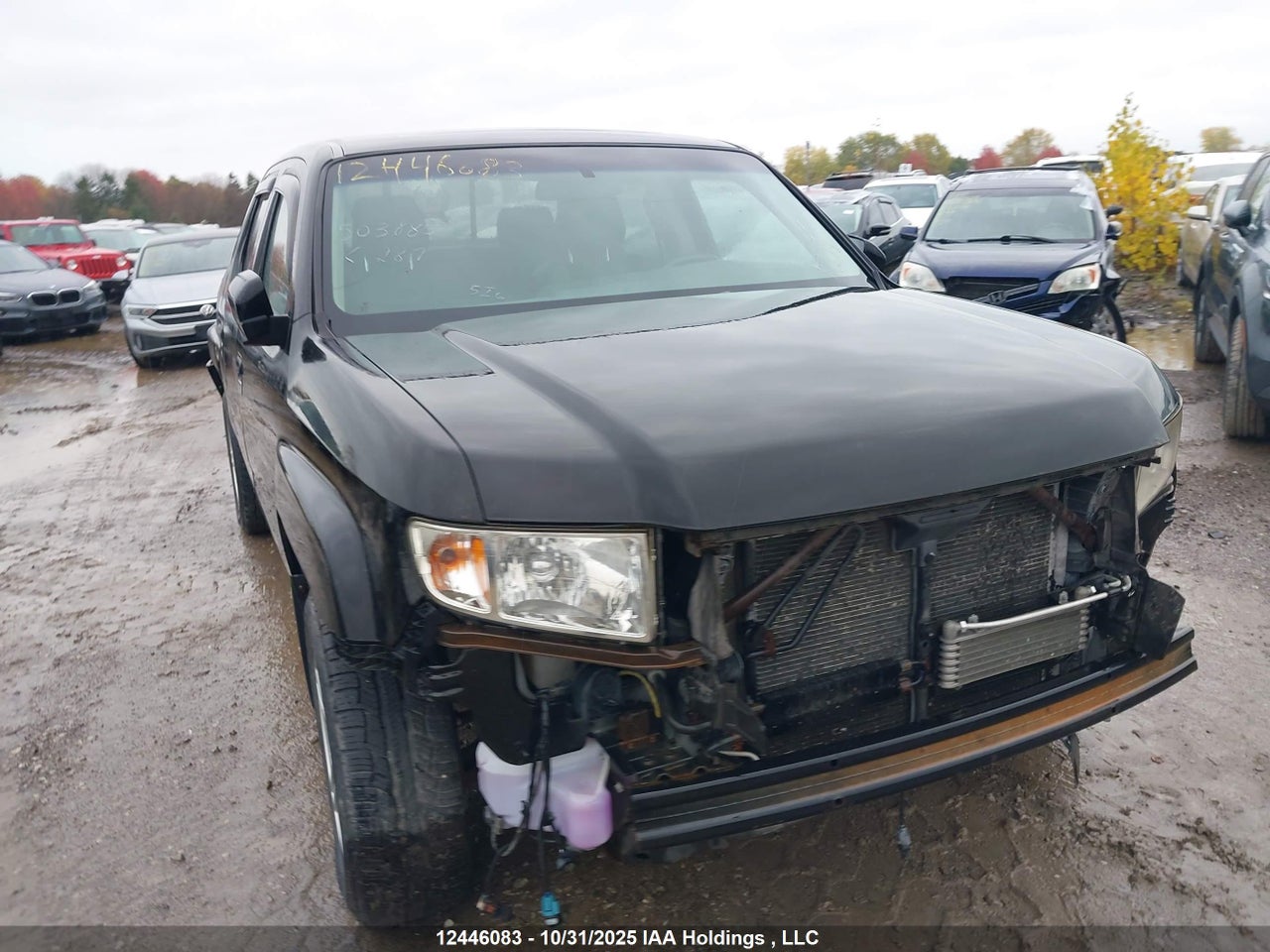 5FPYK1F54AB503885 · 2010 HONDA Ridgeline