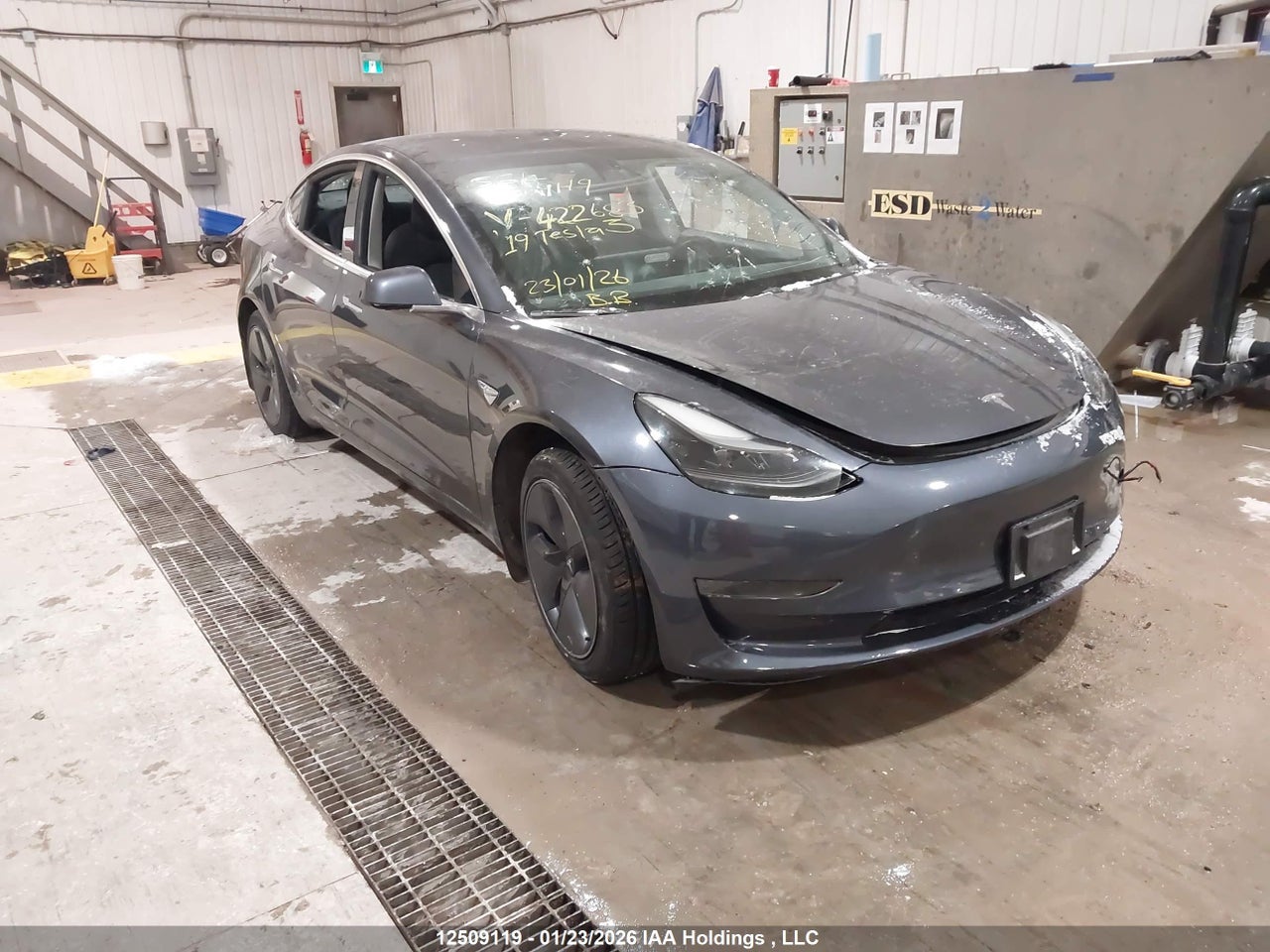 2019 TESLA MODEL 3