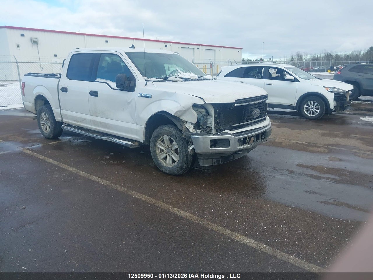 1FTEW1E54KKD40435 · 2019 FORD F-150 XLT