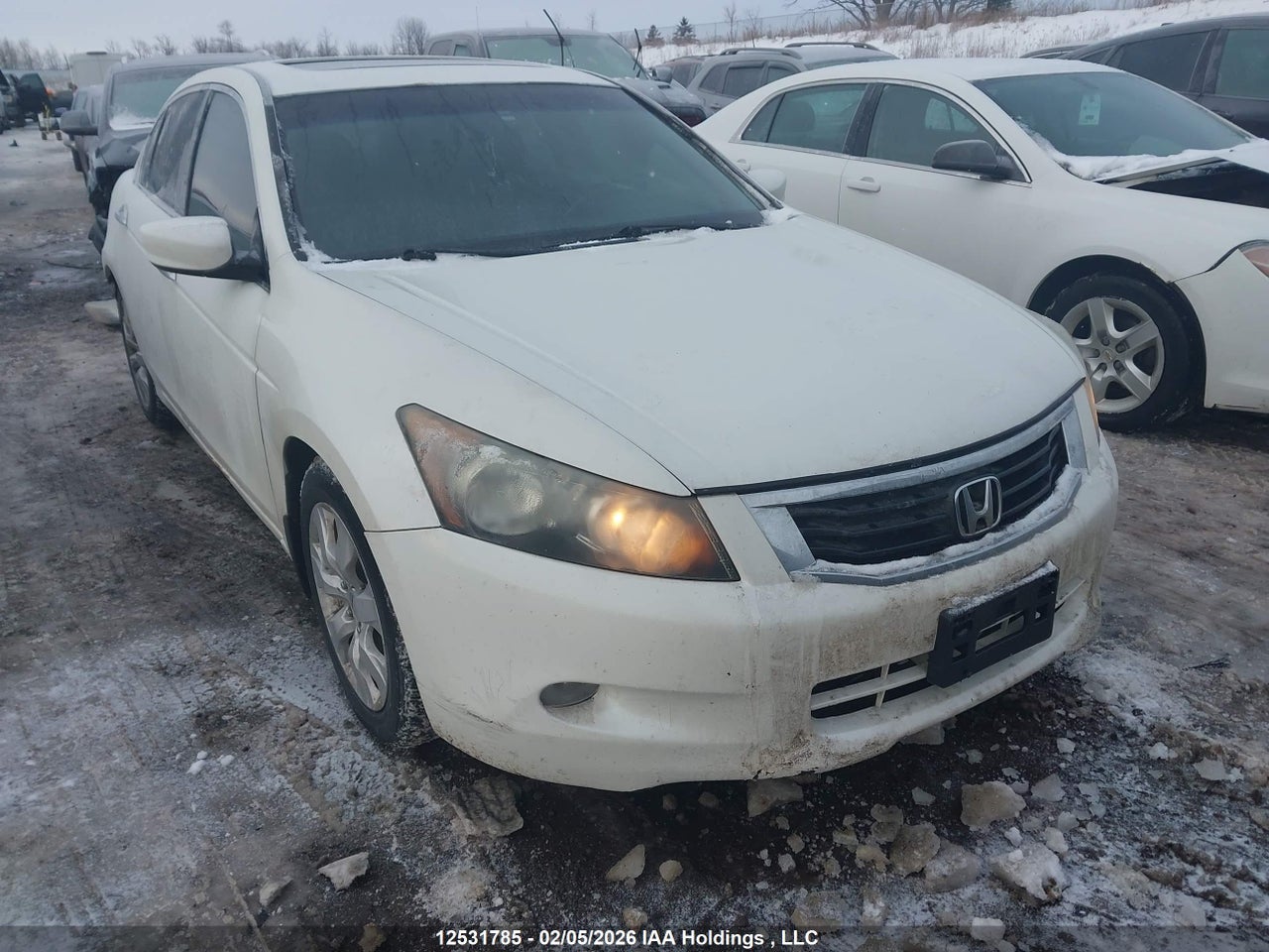 1HGCP36888A803721 · 2008 HONDA ACCORD EXL