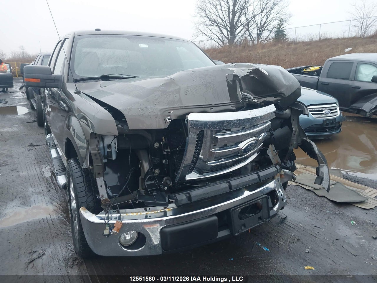 1FTRW12829KC21812 · 2009 FORD F-150 XLT