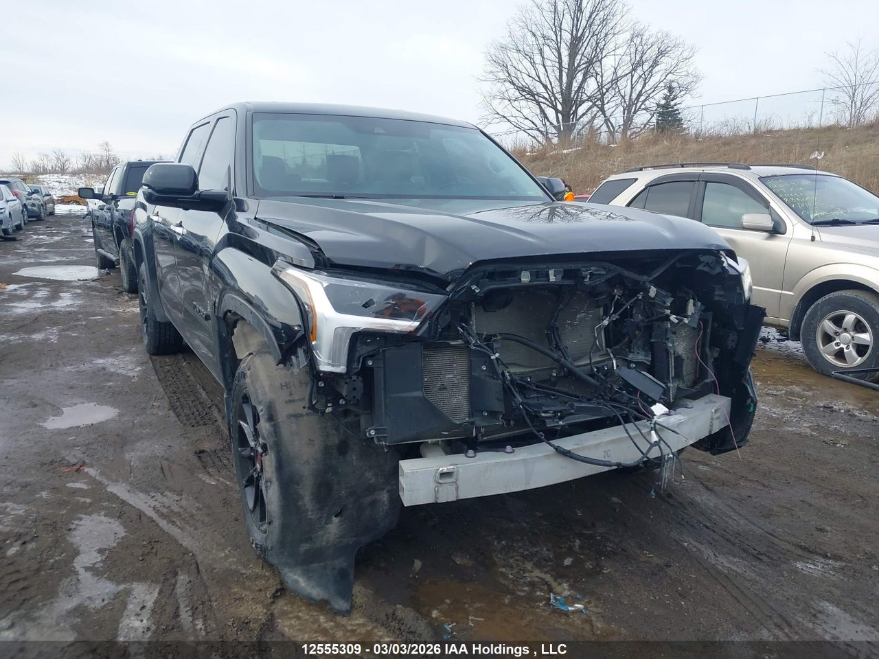 5TFJA5DB4NX028778 · 2022 TOYOTA TUNDRA LIMITED