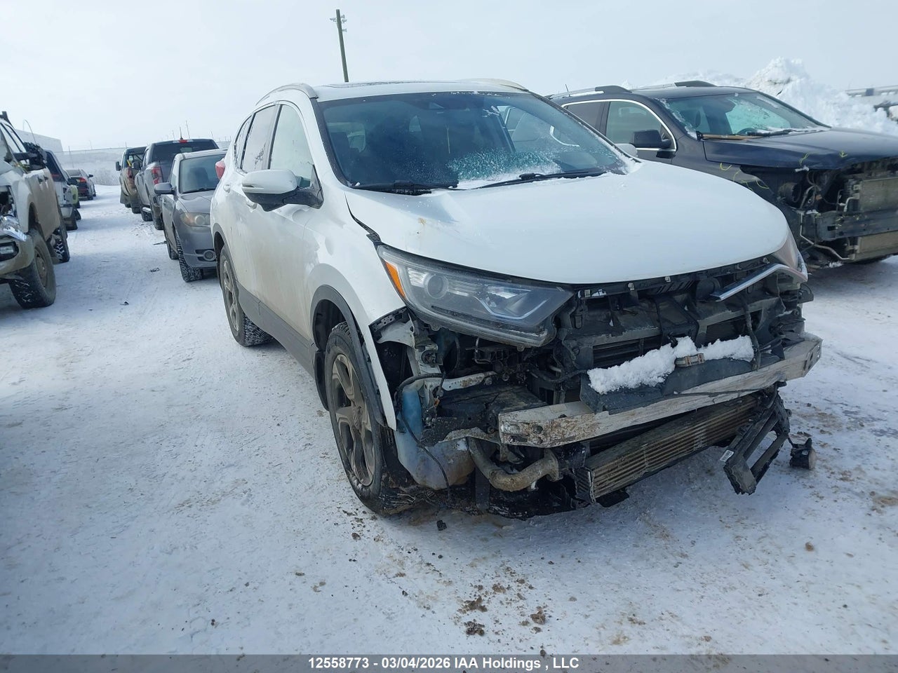 2HKRW2H80KH125081 · 2019 HONDA CR-V EX-L