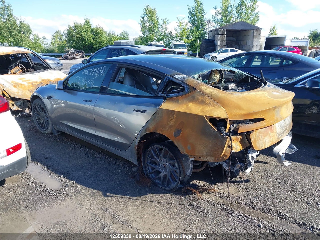 5YJ3E1EA5SF901505 · 2025 TESLA MODEL 3 LONG RANGE · 3/24