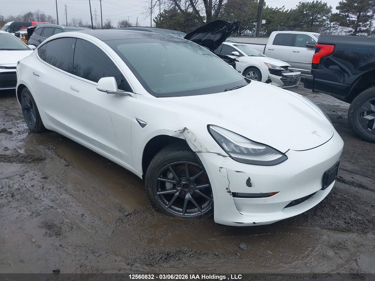 5YJ3E1EA0LF715680 · 2020 TESLA MODEL 3 STANDARD RANGE PLUS