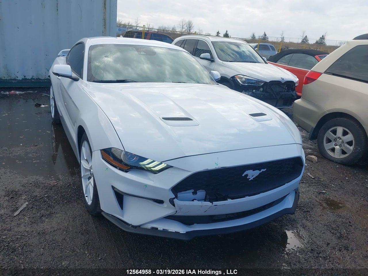 1FA6P8TH8N5144742 · 2022 FORD MUSTANG ECOBOOST PREMIUM