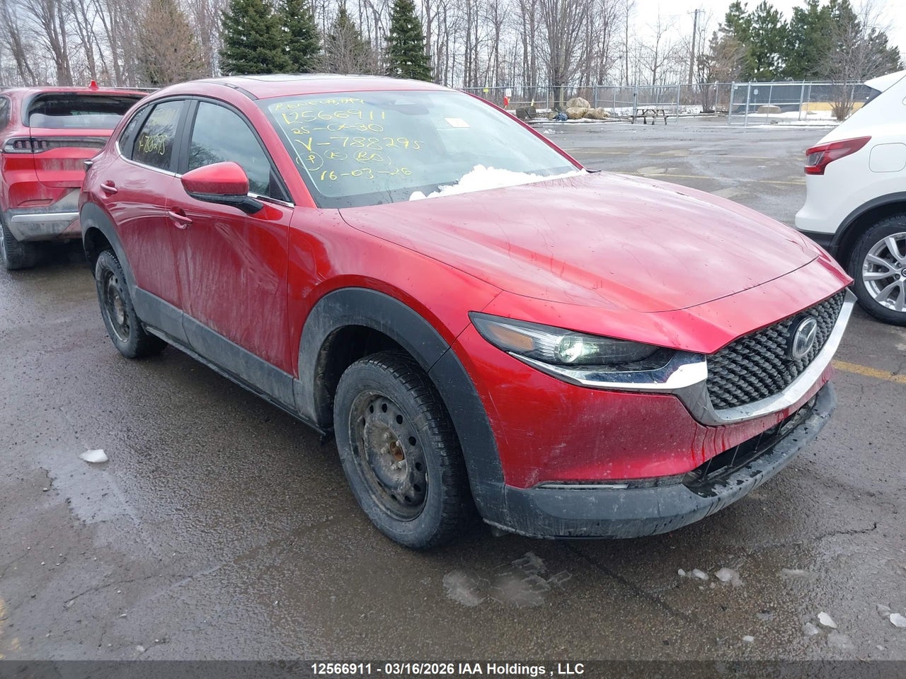 3MVDMBCM6SM788295 · 2025 MAZDA CX-30 GS