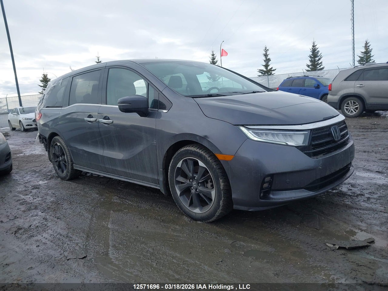 5FNRL6H84RB500043 · 2024 HONDA ODYSSEY TOURING