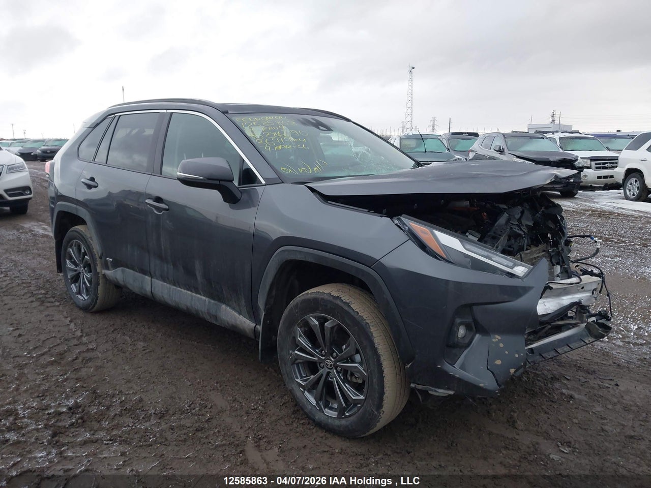2T3RWRFV2SW286090 · 2025 TOYOTA RAV4 HYBRID