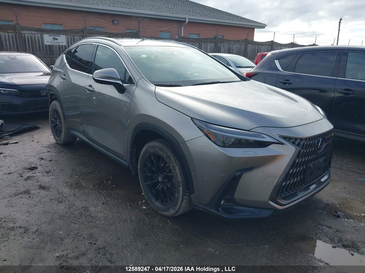 2T2GKCEZXNC005524 · 2022 LEXUS NX 350H