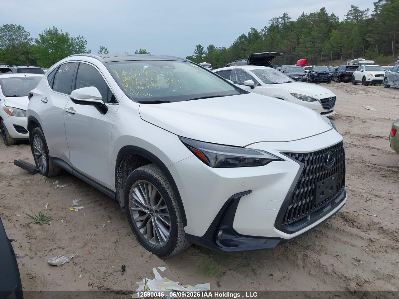 2T2GKCEZXSC044707 · 2025 LEXUS NX 350H