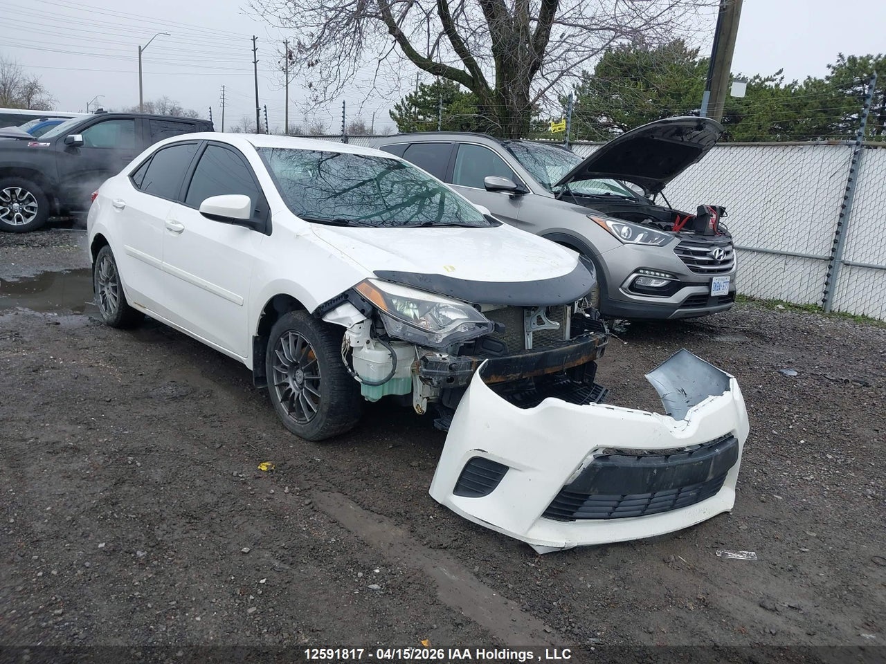 2T1BURHE5EC049886 · 2014 TOYOTA COROLLA L/LE/LE PLS/PRM/S/S PLS