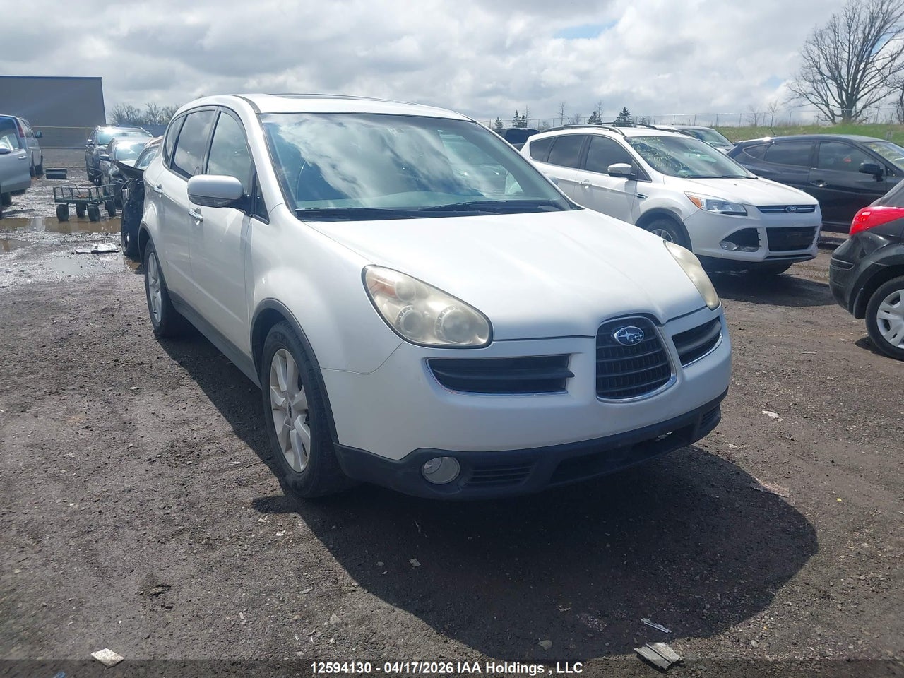 4S4WX85DX74401568 · 2007 SUBARU B9 TRIBECA LIMITED 7-PASSENGER