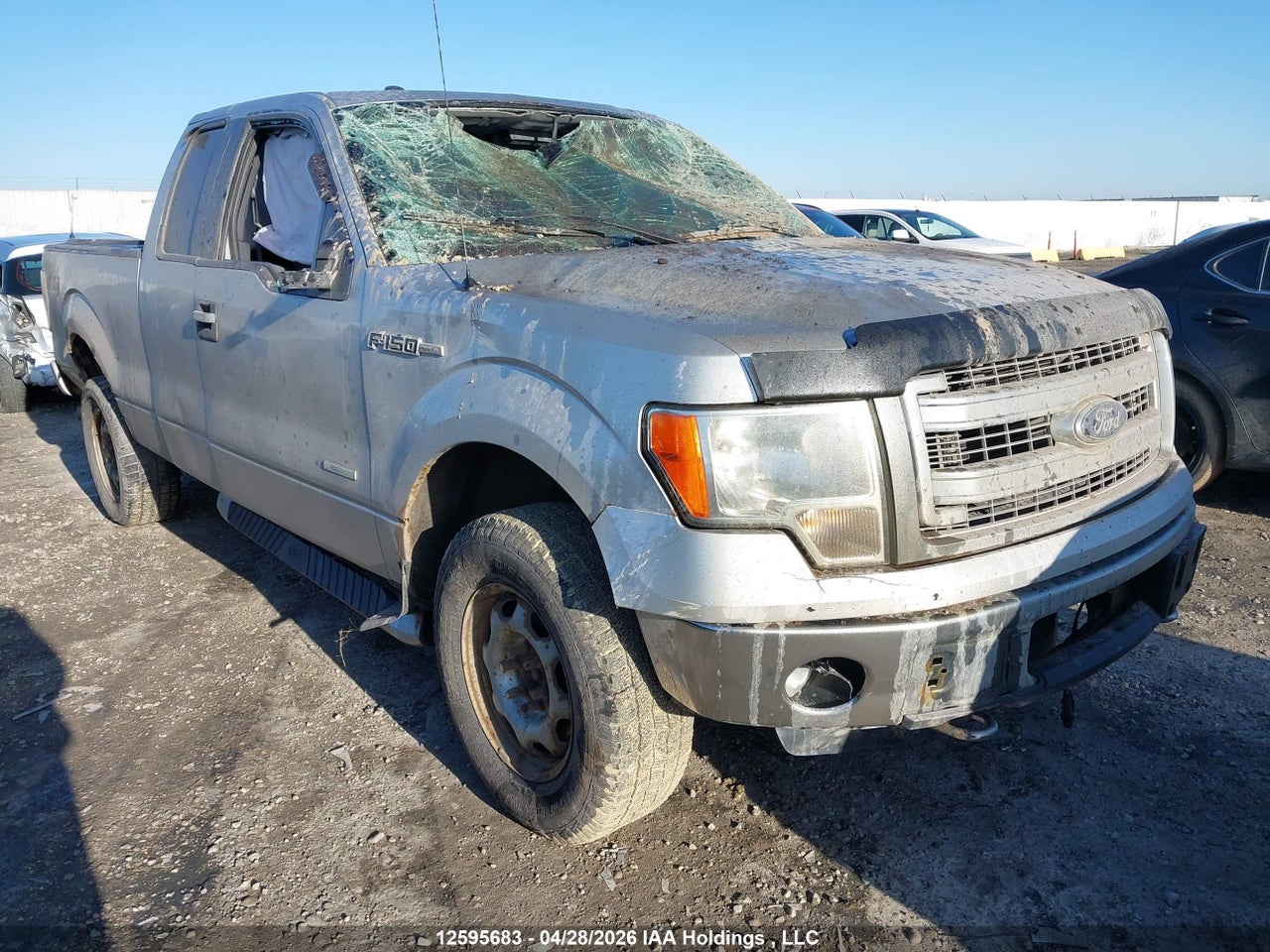 1FTFX1ET7DFA81340 · 2013 FORD F-150 XLT