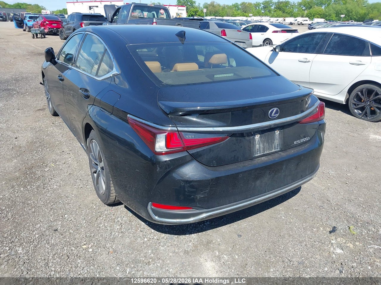 JTHB21B16K2043651 · 2019 LEXUS ES 300H · 3/19