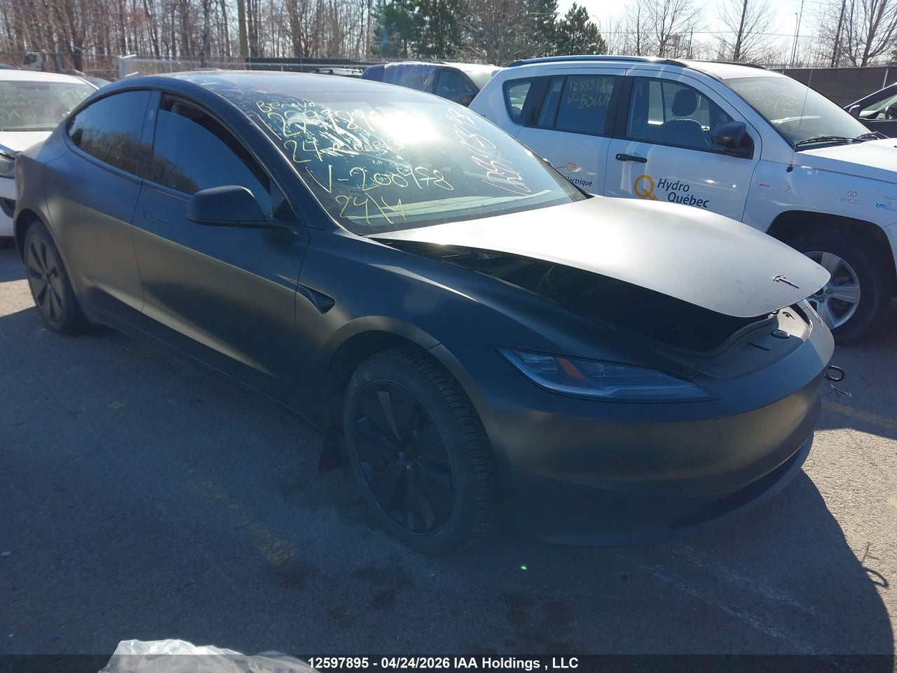 LRW3E7EB1RC****** · 2024 TESLA MODEL 3 LONG RANGE