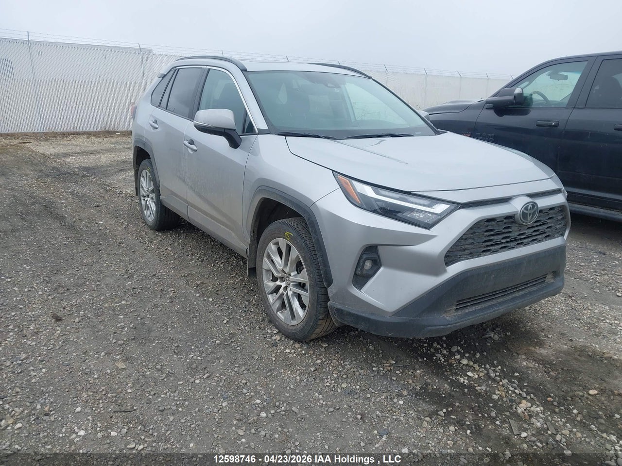 2T3R1RFV0RC486556 · 2024 TOYOTA RAV4 XLE/XLE PREMIUM