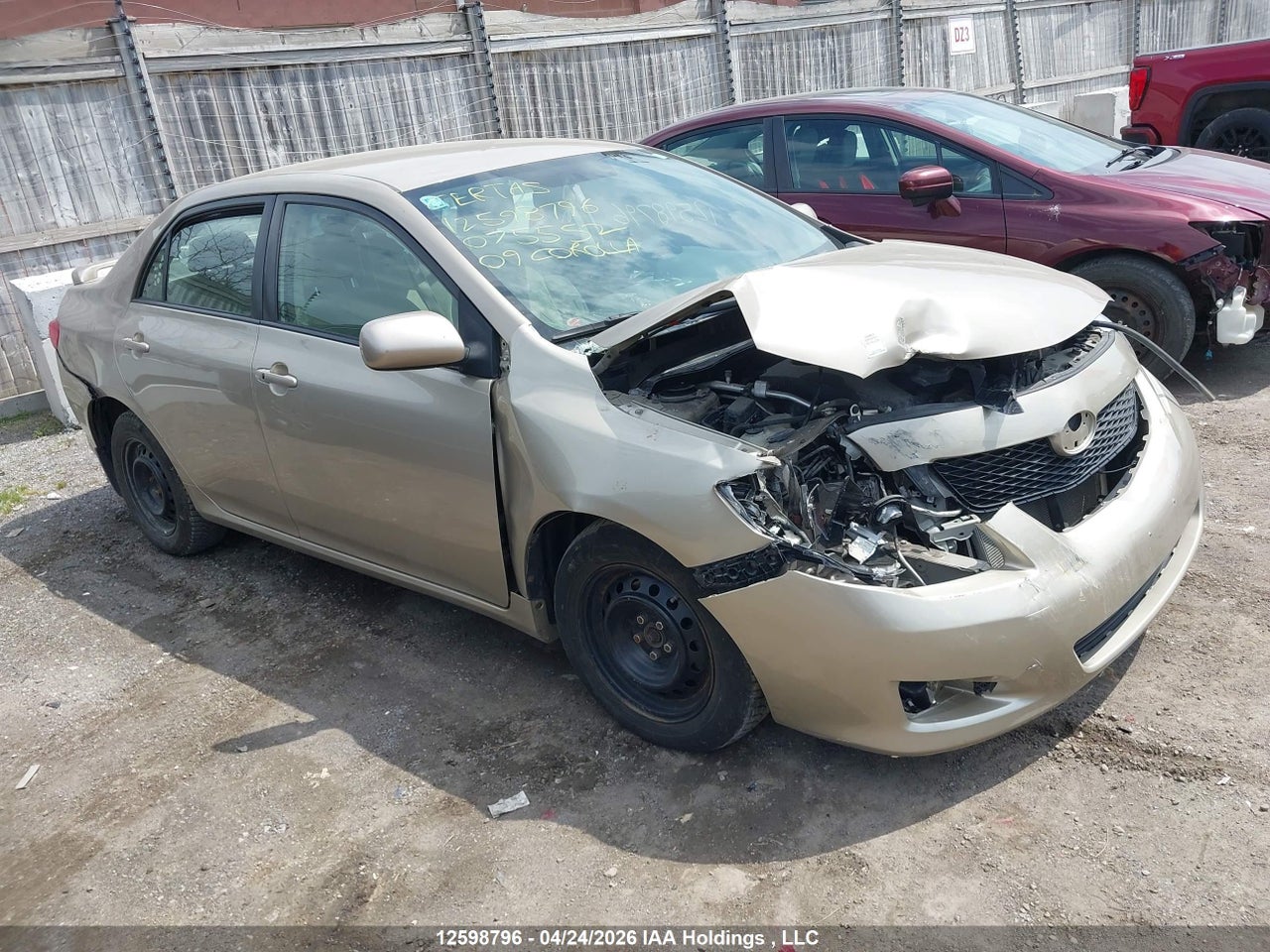 2T1BU40E19C075552 · 2009 TOYOTA COROLLA S/LE/XLE