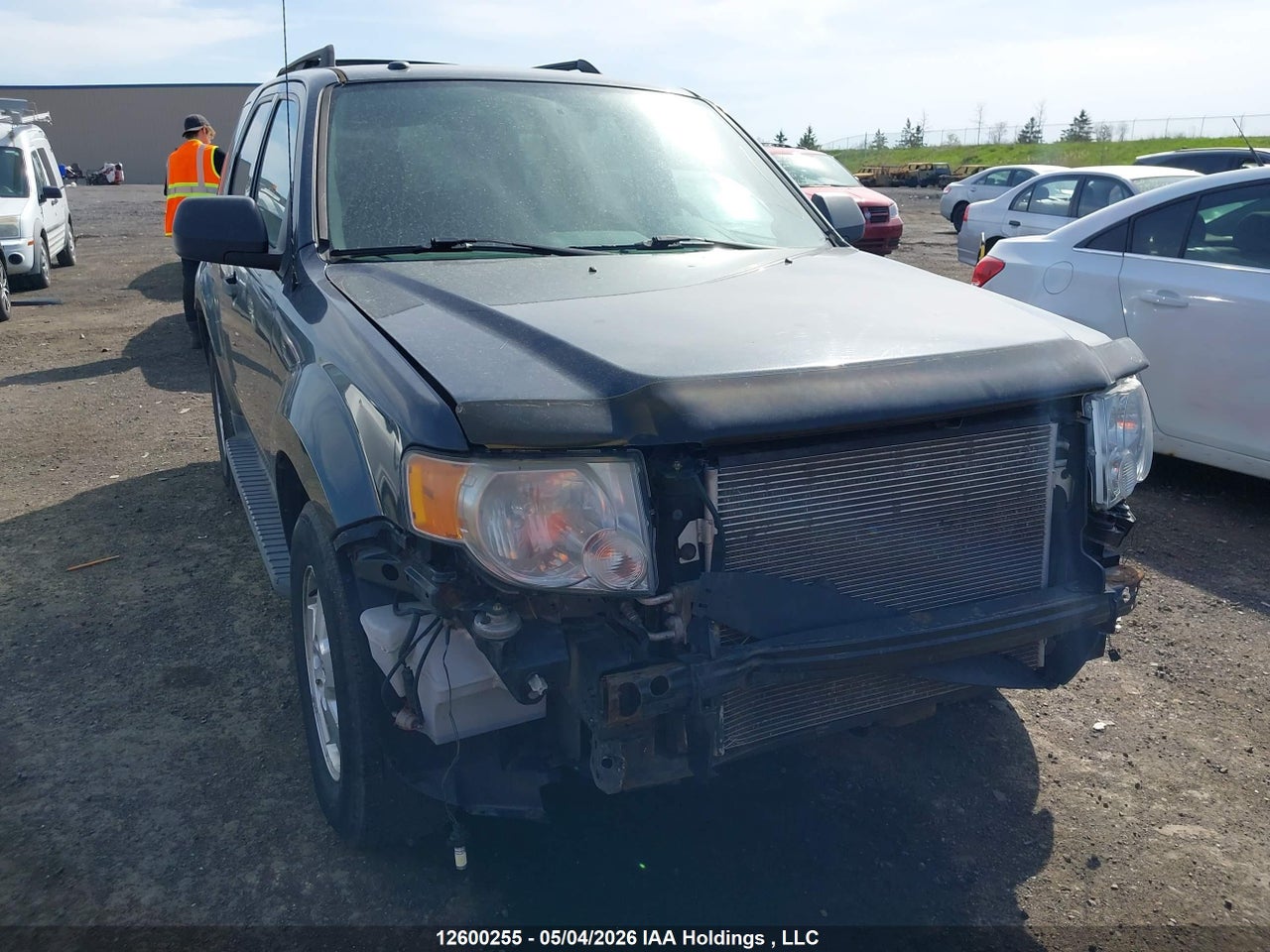 1FMCU93G49KD02676 · 2009 FORD ESCAPE XLT AUTOMATIC