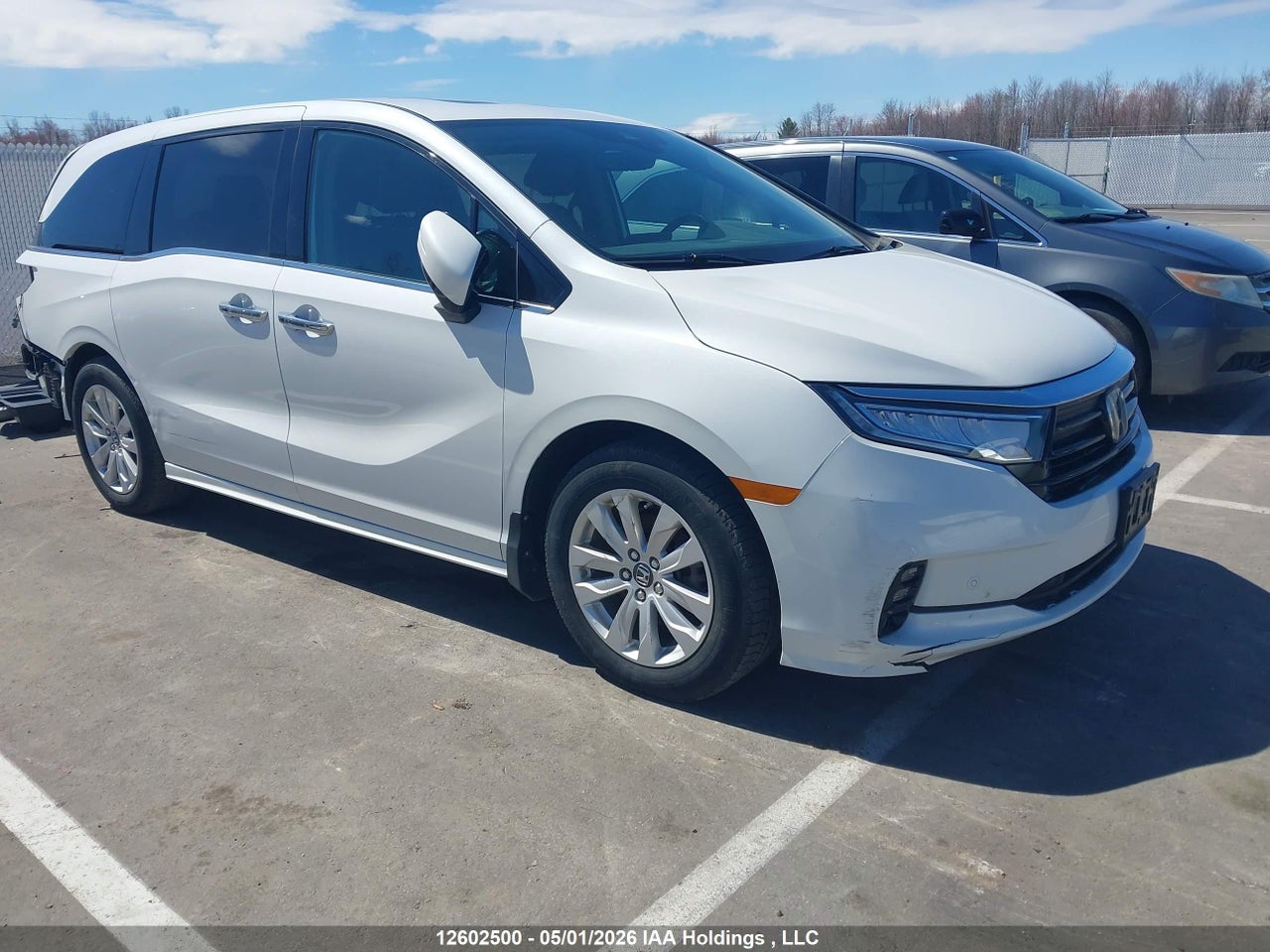 5FNRL6H82PB501785 · 2023 HONDA ODYSSEY TOURING