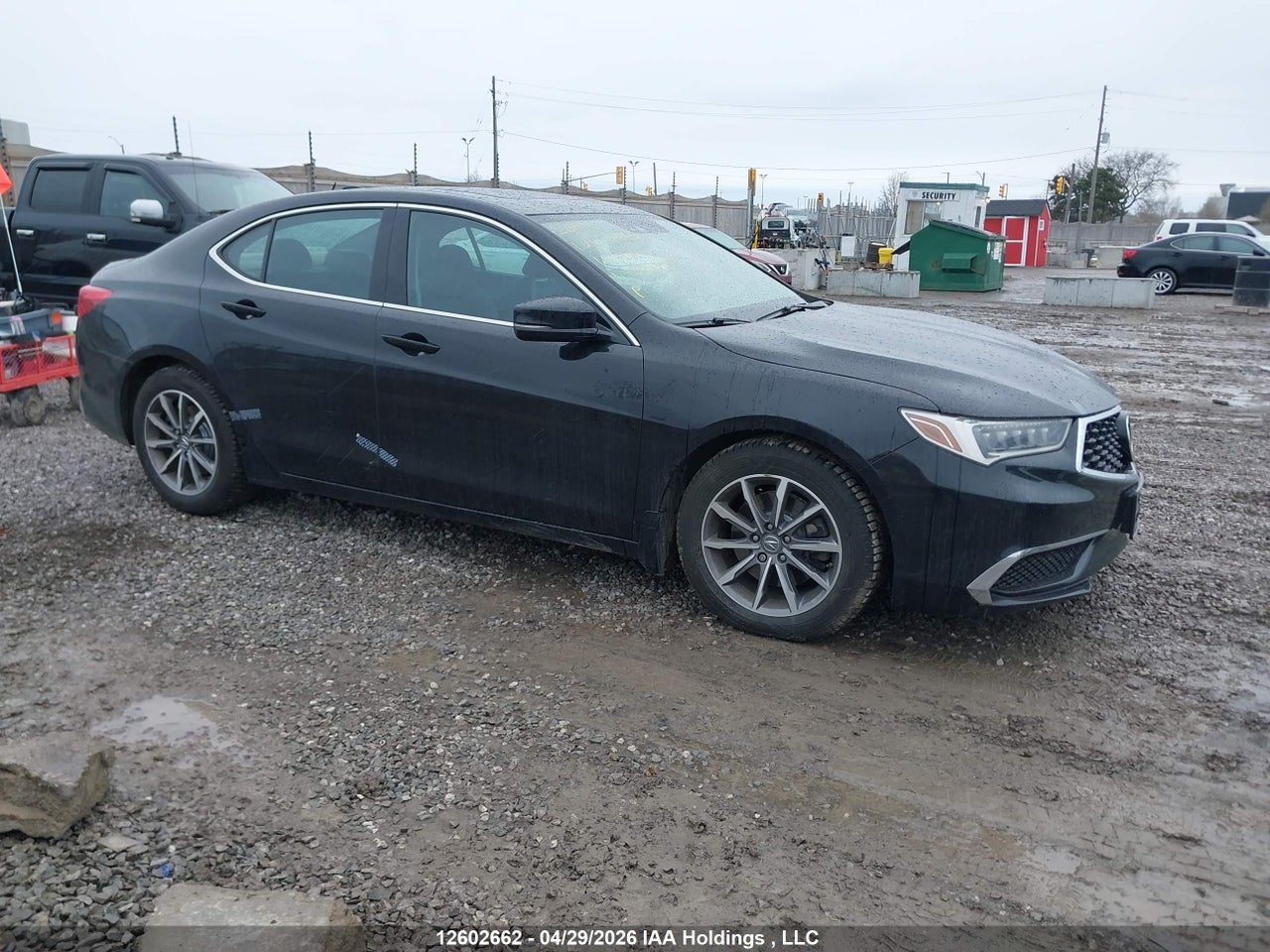 19UUB1F56KA800045 · 2019 ACURA TLX TECH