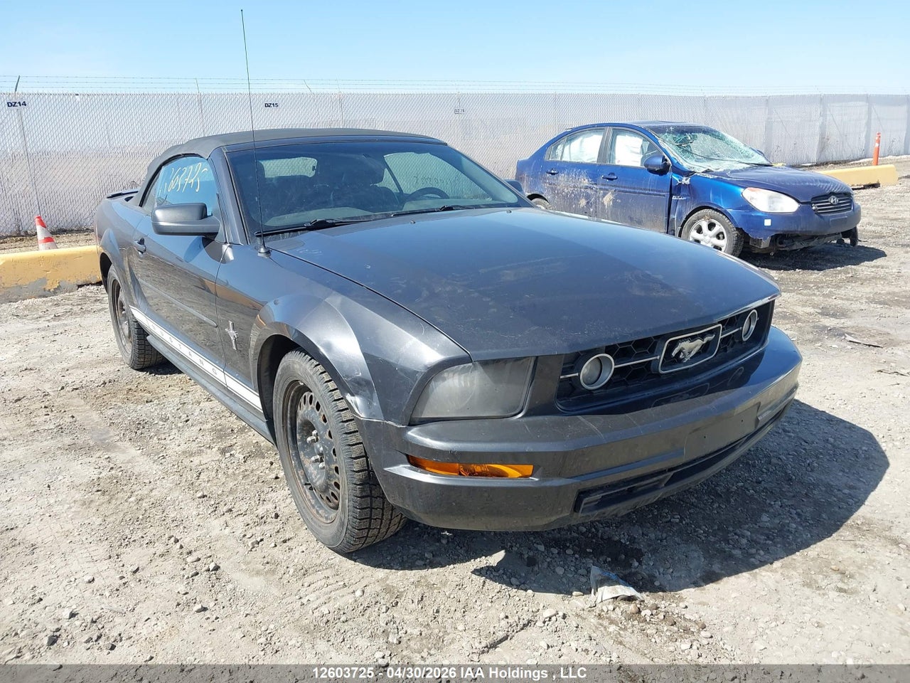 1ZVFT84N675343489 · 2007 FORD Mustang Convertible