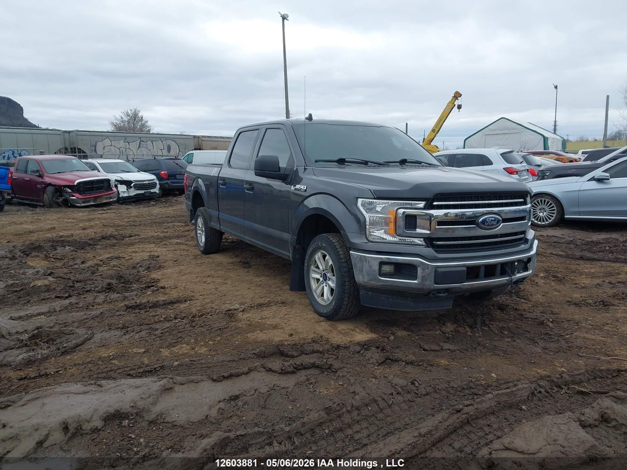 1FTFW1E57LKE20835 · 2020 FORD F-150 XLT