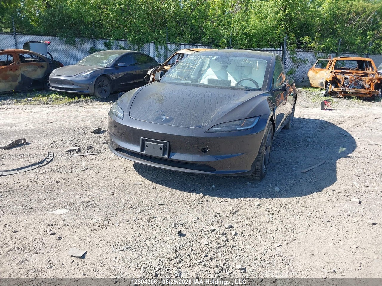 LRW3E7FA9RC201248 · 2024 TESLA MODEL 3 · 2/24
