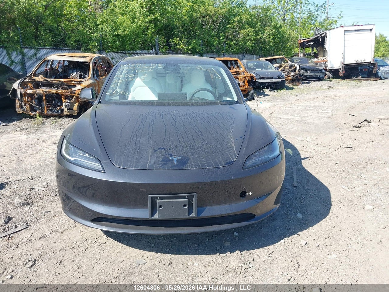 LRW3E7FA9RC201248 · 2024 TESLA MODEL 3 · 12/24