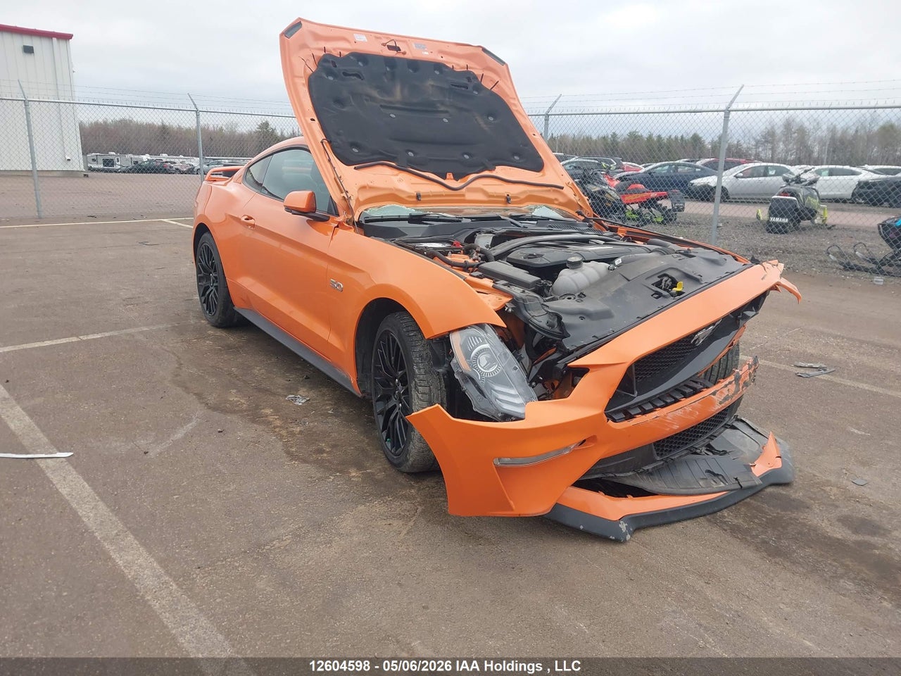 1FA6P8CF3M5121463 · 2021 FORD MUSTANG GT