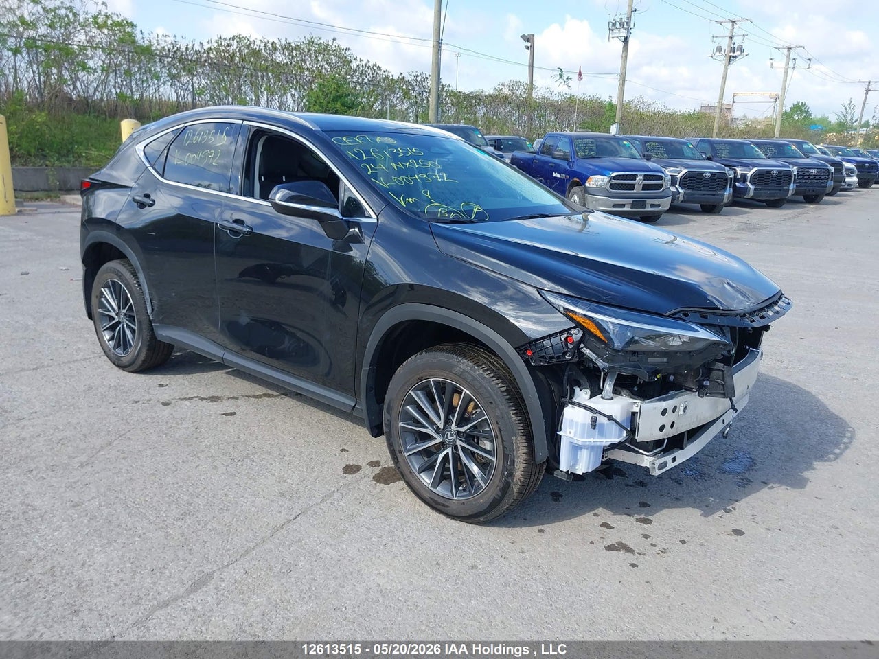 2T2ADCEZ2RC004972 · 2024 LEXUS NX 250