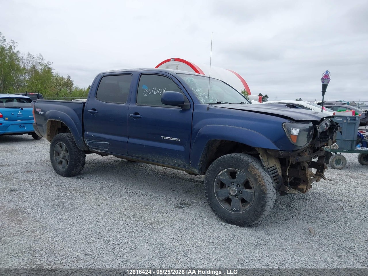 5TELU42N96Z259466 · 2006 TOYOTA TACOMA DOUBLE CAB