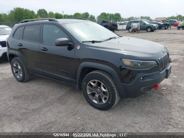 1C4PJMBN8KD273954 · 2019 JEEP CHEROKEE TRAILHAWK