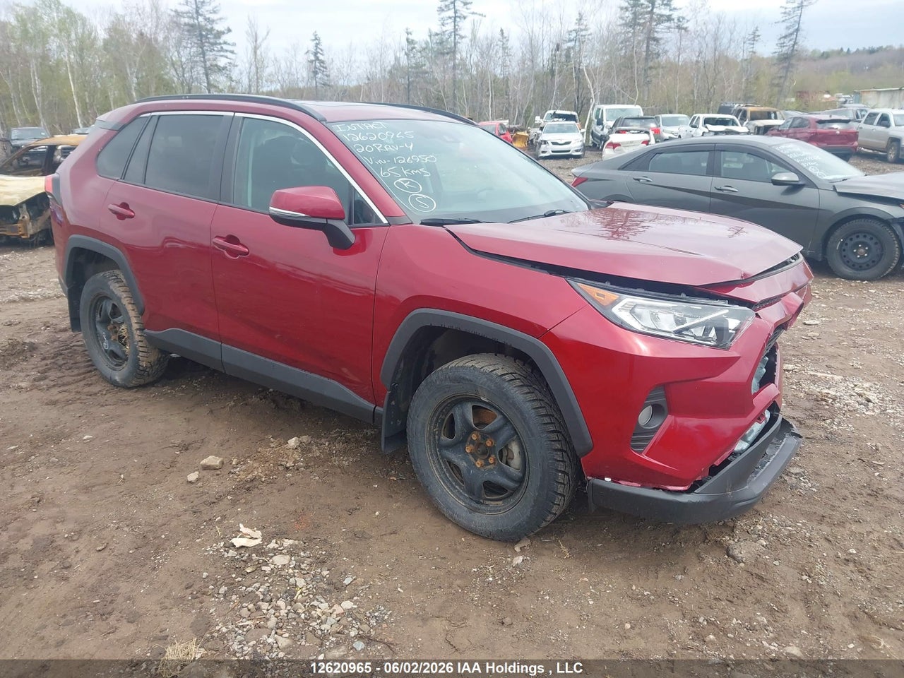 2T3R1RFV5LW126950 · 2020 TOYOTA RAV4 XLE/XLE PREMIUM
